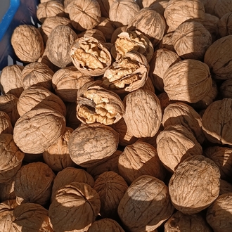 Yerli cendler ceviz1 kg