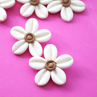 Cowrie Bloom
