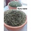 KURU NANE 