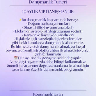 12 AYLIK DETAYLI VIP DANIŞMANLIK