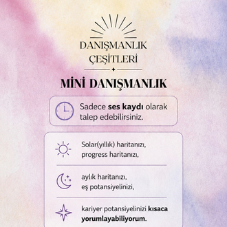 MİNİ DANIŞMANLIK SADECE SES KAYDI İLE