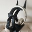 Batman Headset