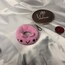DonutCat