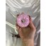 Donut 