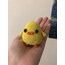 Chick 