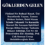 GÖKLERDEN GELEN 