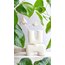Sancta White