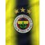 Orijinal 13/14 Sezonu Dirk Kuyt Forması S beden