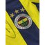 Orijinal 15/16 Sezonu Islak İmzalı Robin van Persie M beden