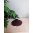 Sumak (100 gram) 