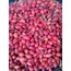 Yeni Mahsul Kuşburnu 1 Kg