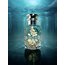 Barbaros Eau De Parfum 50 ml