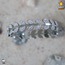316 L Silver Zirkon Taşlı Yaprak Helen Model Çelik Bileklik - HMÇB-0013 || HM-03-00100-03