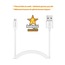 Concord USB Micro Data & Şarj Kablosu 2.1 mAh - HM-06-00002-01