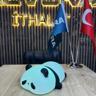 Tasarım Slikon Gece lambası