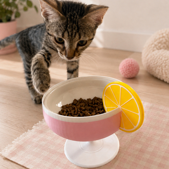 Meowgarita Kedi Mama Kabı