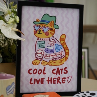 COOL CATS BASKI