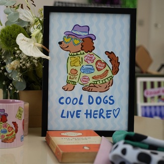 COOL DOGS BASKI