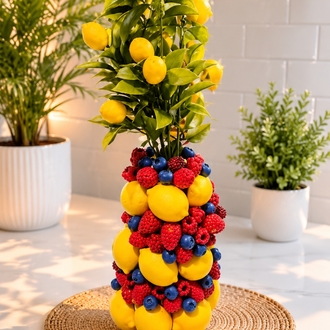 HESTIA MIX FRUIT VAZO