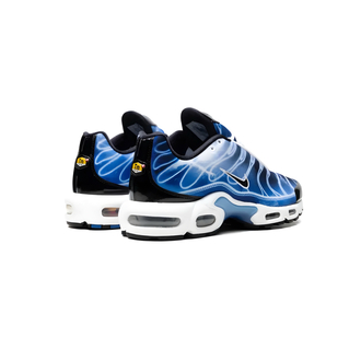 Nike Air Max Plus "Light Streaks"