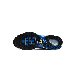 Nike Air Max Plus "Light Streaks"