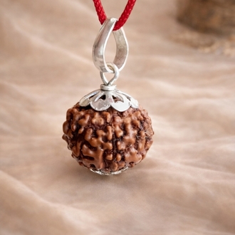 7 Mukhi Rudraksha sertifikalı