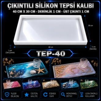  ÇIKINTILI TEPSİ SİLİKON KALIBI 