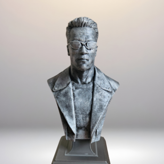 Terminator Büst - Figür - Arnold Schwarzenegger - 12 CM El Boyaması PLA Plastik v2