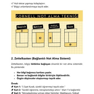 5 Saat Kuralı: Düzenli Öğrenme ile Üstün Başarıya Ulaşma
