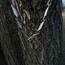 ICE-C "ETH" SILVER ZINCIR