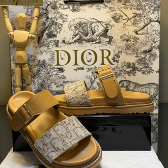 Dior Premium Terlik l 5 renk