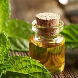 Tıbbi Nane Yağı 20 ml