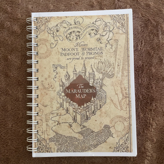 Harry Potter Ajanda Kutusu
