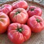 Tohum/ Pembe Domates