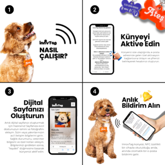 Mini NFC Pet Künye - 2.2cm Meyve Bahçesi