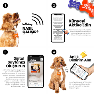Mini NFC Çipli Dijital Künye - 2.2cm Turkuaz