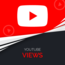 Buy YouTube Views (1000 Views)