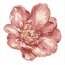 BOUQUET COLLECTION PLACEMAT