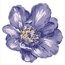 BOUQUET COLLECTION PLACEMAT