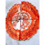 orange  coasters 