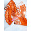 orange  coasters 