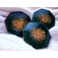 ruby green &Gold coasters