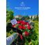 Romantik 20 Kırmızı Gül ve Beyaz Gypsophila Buketi