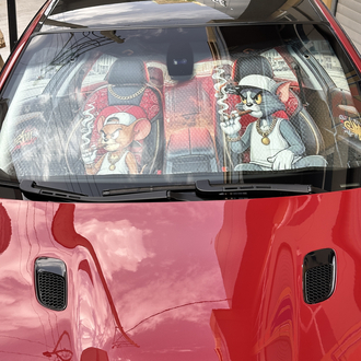 TN METALİZE TOM VE JERRY BASKILI GÜNEŞLİK