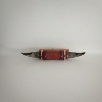 Vintage Boynuz Duvar Dekoru 