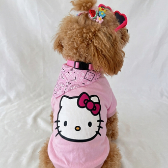 JBL KÜÇÜK IRK KÖPEK TİŞÖRT HELLO KİTY