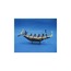 WISE Veronese Serisi-Wise Mısır Tarihi-ROWING Biblo-9*22*12 CM