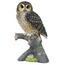 WISE Veronese Serisi-WISE DALDA BAYKUŞ BİBLO-19*12*6,5 CM