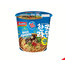 Indomie Spicy Kutu Ramyeon 