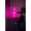 Kedi Neon Duvar Dekoru